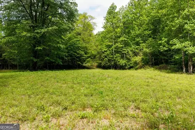0 Galloway Road, Blue Ridge, GA 30513 - Photo 7