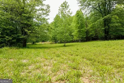 0 Galloway Road, Blue Ridge, GA 30513 - Photo 3