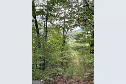 Lot 5 Sequoia Hills Lane #5, Clayton, GA 30525 - Photo 3