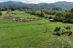 5192 Wolffork Rd, Rabun Gap, GA 30568 - Photo 17
