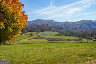 5192 Wolffork Road, Rabun Gap, GA 30568 - Photo 49