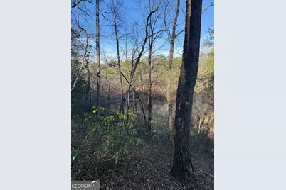 15 Mountain Gate, Cleveland, GA 30528 - Photo 3