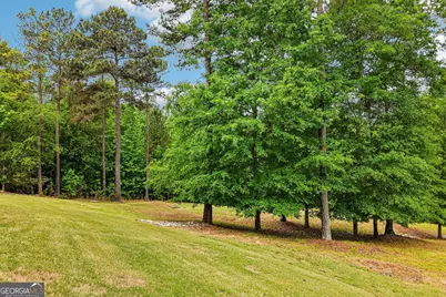 109 Sagewood Court, Newnan, GA 30265 - Photo 137