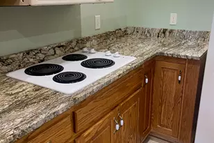 1545 Sam Bell Rd, Clarkesville, GA 30523 - Photo 11