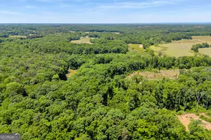 1014 Adams Clarke Rd, Commerce, GA 30530 - Photo 67