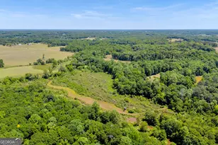 1014 Adams Clarke Rd, Commerce, GA 30530 - Photo 39