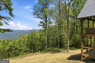 30 Wilderness View, Chatsworth, GA 30705 - Photo 51