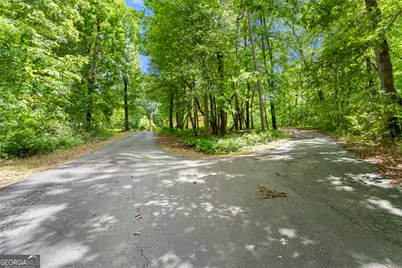 250 Truelove Road, Cleveland, GA 30528 - Photo 47