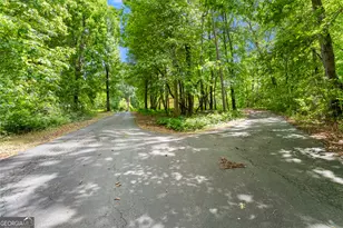 250 Truelove Rd, Cleveland, GA 30528 - Photo 47