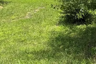1810 Hwy 138 E, Stockbridge, GA 30281 - Photo 23