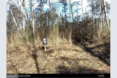 0 Faith Court #LOT 79, Ellijay, GA 30540 - Photo 3
