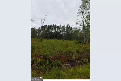 309 Quail Run Road, Folkston, GA 31537 - Photo 5