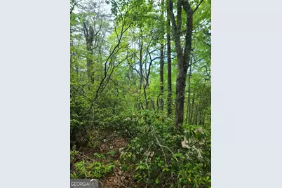 B Shake Hollow, Rabun Gap, GA 30568 - Photo 11