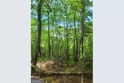 B Shake Hollow, Rabun Gap, GA 30568 - Photo 13