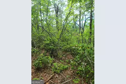 B Shake Hollow, Rabun Gap, GA 30568 - Photo 9
