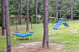111 Tallulah Trl, Sharpsburg, GA 30277 - Photo 27