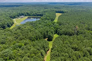 2720 Doster Rd, Madison, GA 30650 - Photo 53