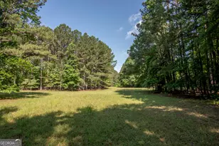 2720 Doster Rd, Madison, GA 30650 - Photo 49