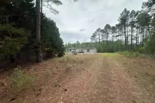 3115 Deer Run Rd, Statesboro, GA 30461 - Photo 5