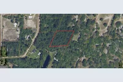 0 Twin Flower Trail, Hortense, GA 31543 - Photo 3