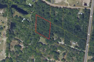 0 Twin Flower Trail, Hortense, GA 31543 - Photo 1