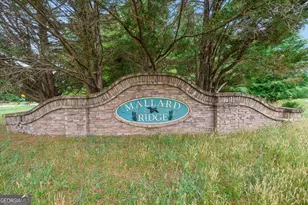 1050 Pintail Ln, Madison, GA 30650 - Photo 45