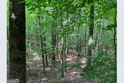 0 Big Oak Drive, Elberton, GA 30635 - Photo 5