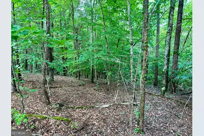 0 Big Oak Drive, Elberton, GA 30635 - Photo 3