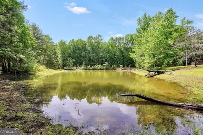 331A County Line Road, Jenkinsburg, GA 30234 - Photo 45