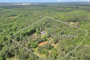 331A County Line Rd, Jenkinsburg, GA 30234 - Photo 43