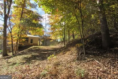 153 January Lane, Ellijay, GA 30540 - Photo 61