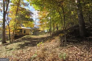 153 January Ln, Ellijay, GA 30540 - Photo 61