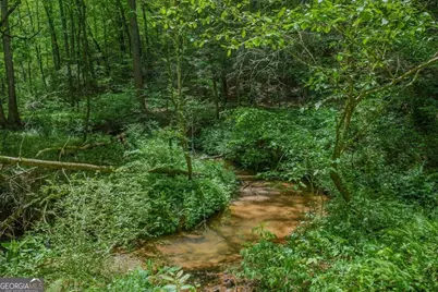 153 January Lane, Ellijay, GA 30540 - Photo 11