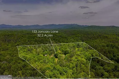 153 January Lane, Ellijay, GA 30540 - Photo 5