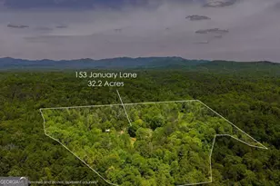 153 January Ln, Ellijay, GA 30540 - Photo 5