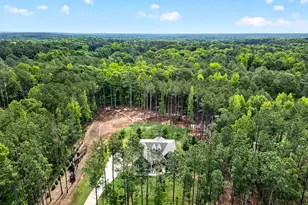 31 Ozark Woods Dr, Newnan, GA 30263 - Photo 45