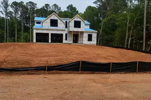 95 Manger Ave W, Bethlehem, GA 30620 - Photo 3