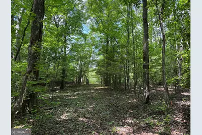 025 Long Branch Rd, Toomsboro, GA 31090 - Photo 3