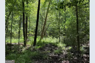 025 Long Branch Rd, Toomsboro, GA 31090 - Photo 5