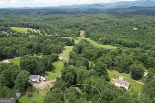 41 Clark Station Rd, Jasper, GA 30143 - Photo 59