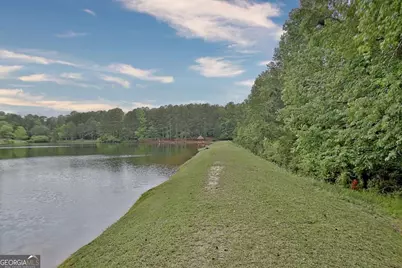 105 Walden Way, Fayetteville, GA 30214 - Photo 93