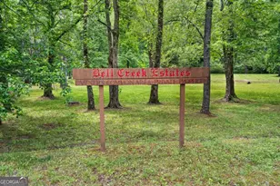 1894 Bell Eagle Dr, Hiawassee, GA 30546 - Photo 47