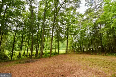 0 Hemphill Road, Griffin, GA 30224 - Photo 21