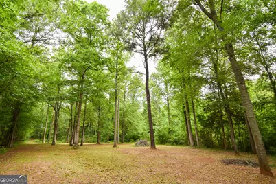 0 Hemphill Road, Griffin, GA 30224 - Photo 13