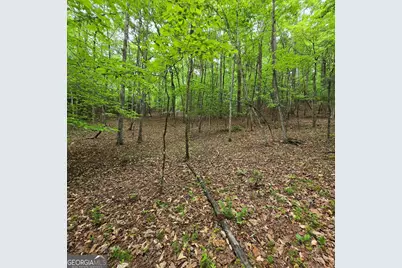 3.5Acre Dusty Trail, Morganton, GA 30560 - Photo 7