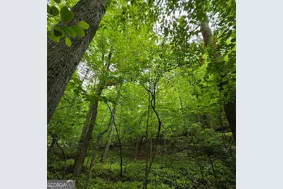 3.5Acre Dusty Trail, Morganton, GA 30560 - Photo 23