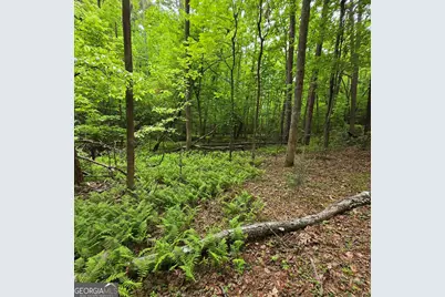 3.5Acre Dusty Trail, Morganton, GA 30560 - Photo 13