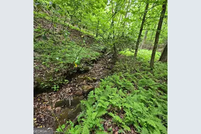 3.5Acre Dusty Trail, Morganton, GA 30560 - Photo 17