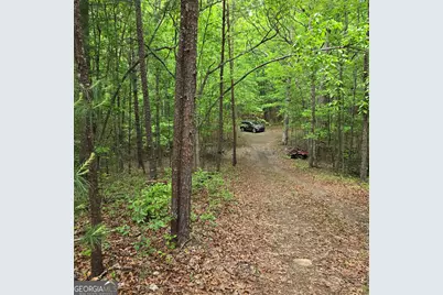 3.5Acre Dusty Trail, Morganton, GA 30560 - Photo 33