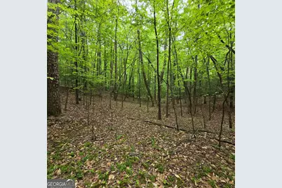 3.5Acre Dusty Trail, Morganton, GA 30560 - Photo 5